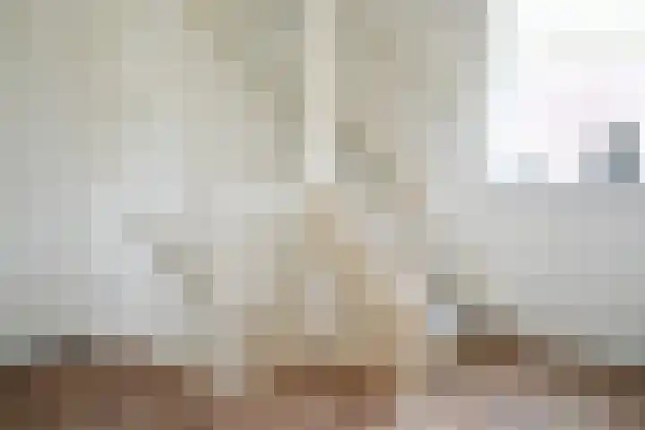 Roek 11 Sprang-Capelle thumbnail 44