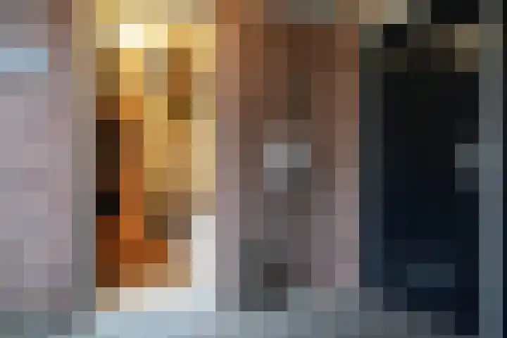 Roek 11 Sprang-Capelle thumbnail 5