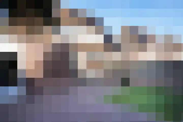 Roek 11 Sprang-Capelle thumbnail 53