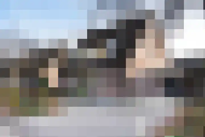 Roek 11 Sprang-Capelle thumbnail 57