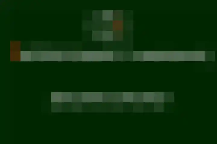 Roek 11 Sprang-Capelle thumbnail 6