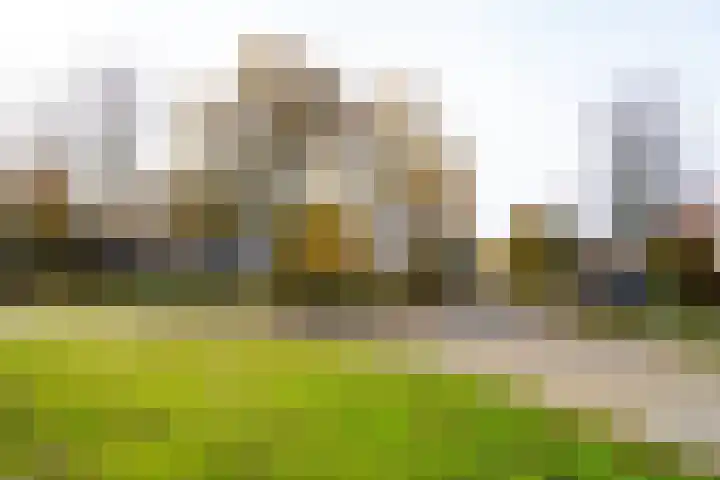Roek 11 Sprang-Capelle thumbnail 61