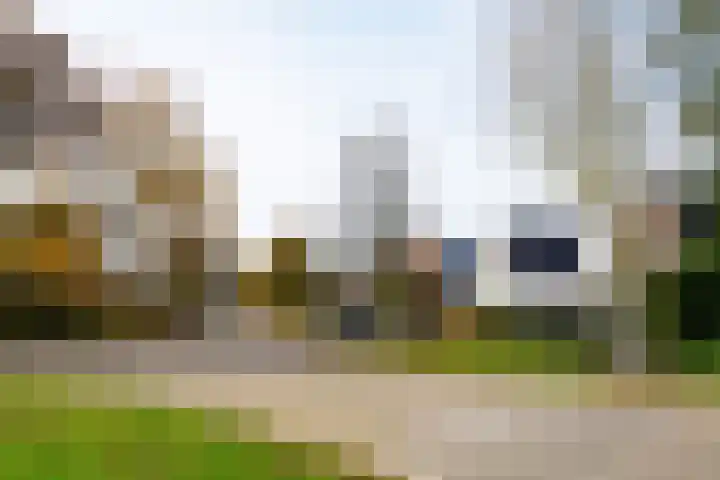 Roek 11 Sprang-Capelle thumbnail 62