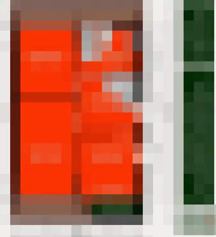 Roek 11 Sprang-Capelle thumbnail 77