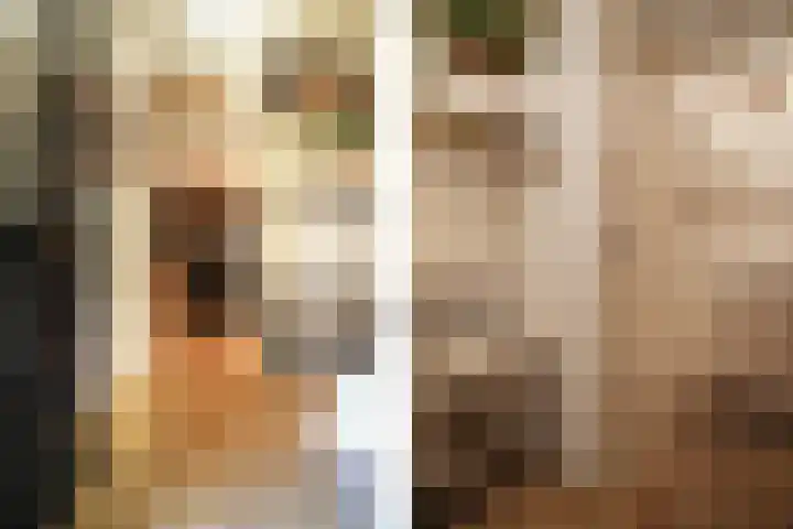 Roek 11 Sprang-Capelle thumbnail 8