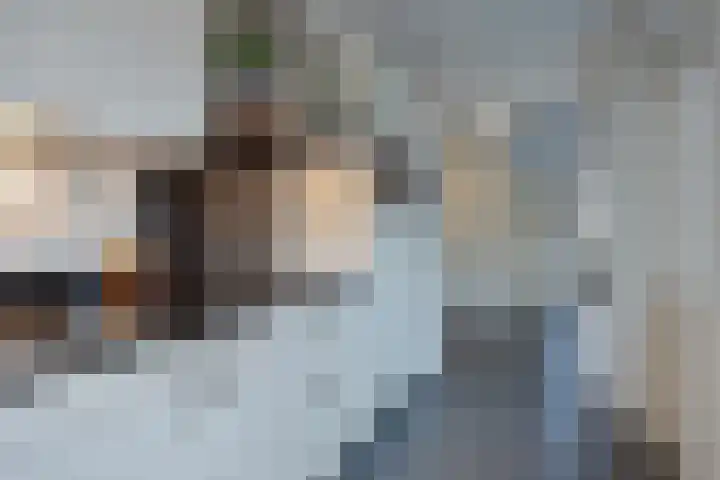 Roek 20 Veldhoven thumbnail 15