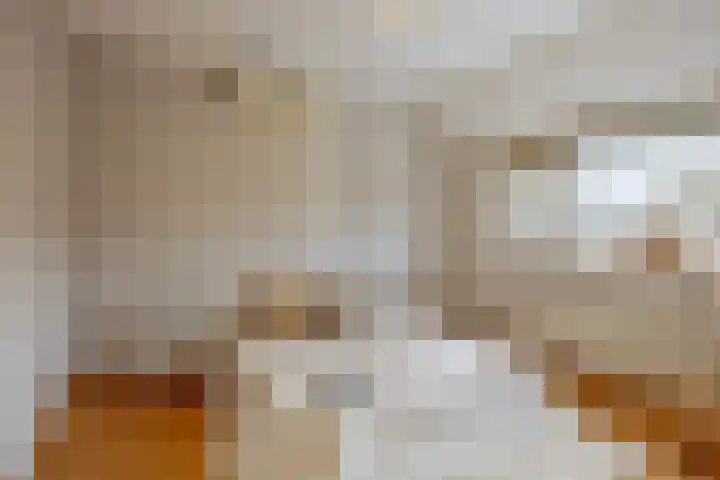 Roek 20 Veldhoven thumbnail 18