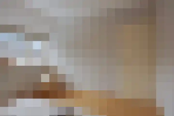 Roek 20 Veldhoven thumbnail 19