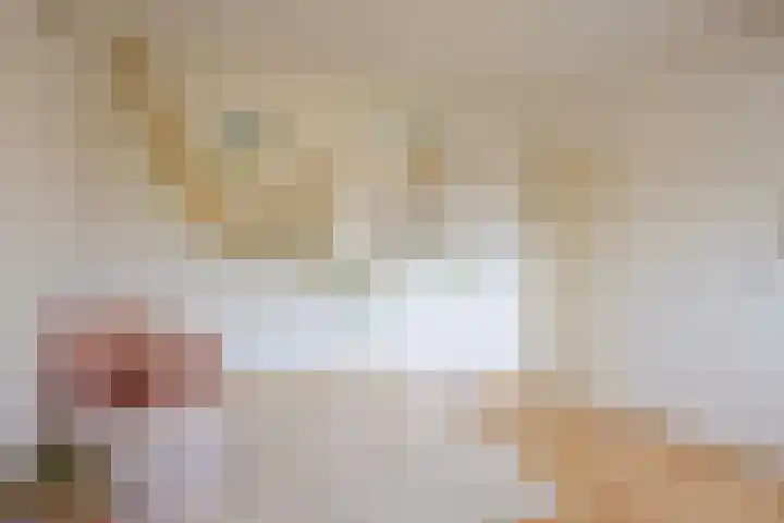 Roek 20 Veldhoven thumbnail 23