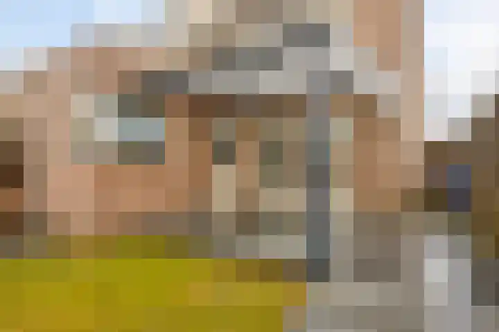 Roek 20 Veldhoven thumbnail 30