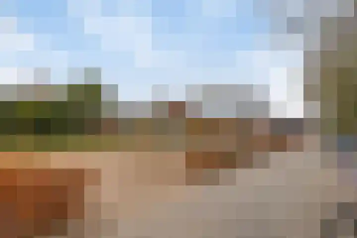 Roek 20 Veldhoven thumbnail 38
