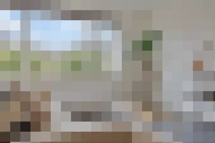 Roek 20 Veldhoven thumbnail 5