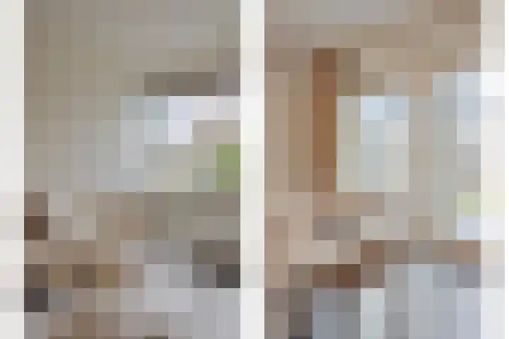 Roek 20 Veldhoven thumbnail 6