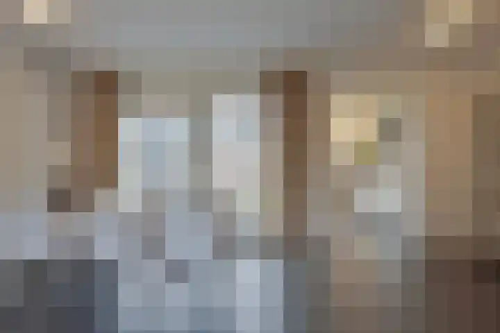 Roek 20 Veldhoven thumbnail 7
