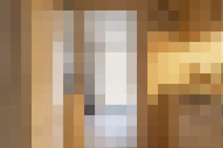 Roek 23 Sprang-Capelle thumbnail 19