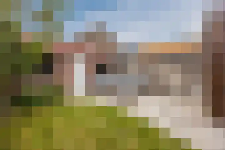 Roek 23 Sprang-Capelle thumbnail 22