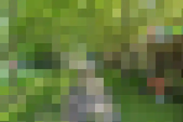 Roek 23 Sprang-Capelle thumbnail 23