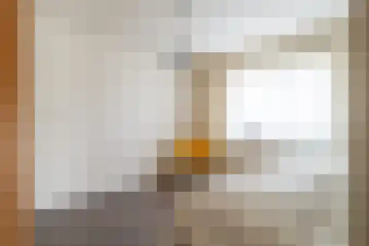Roek 23 Sprang-Capelle thumbnail 25