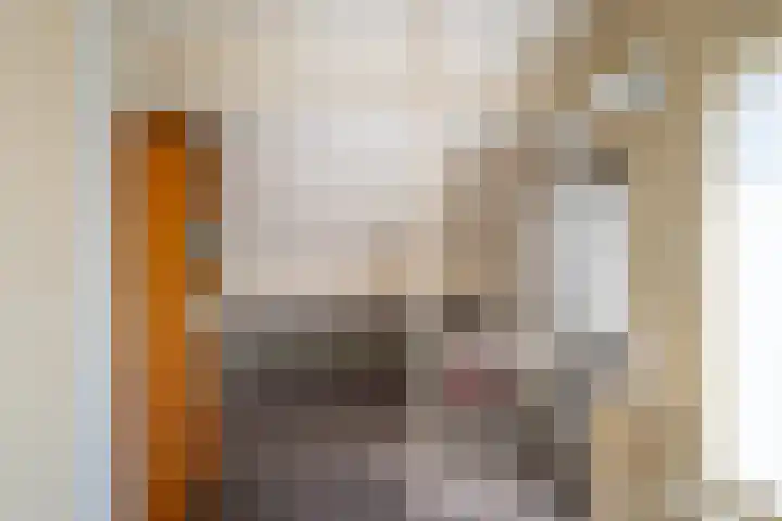 Roek 23 Sprang-Capelle thumbnail 30