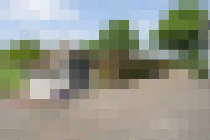 Roek 23 Sprang-Capelle thumbnail 33