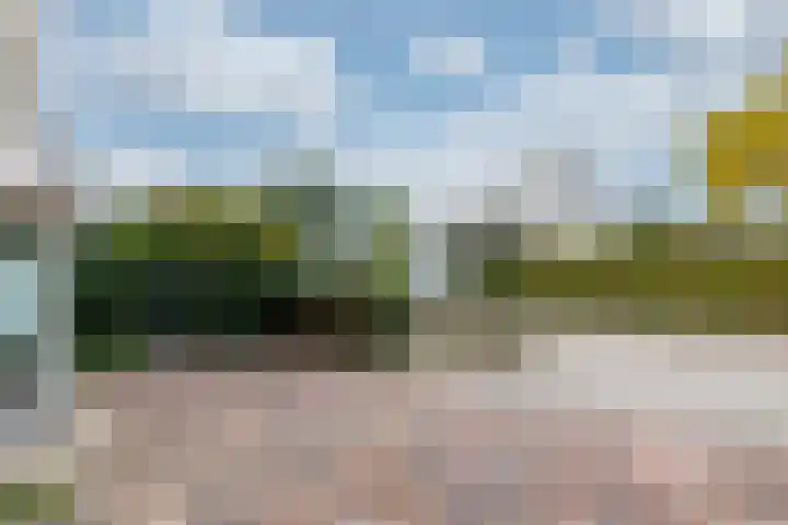 Roek 23 Sprang-Capelle thumbnail 34