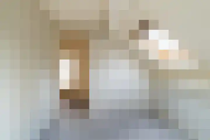 Roek 23 Sprang-Capelle thumbnail 36