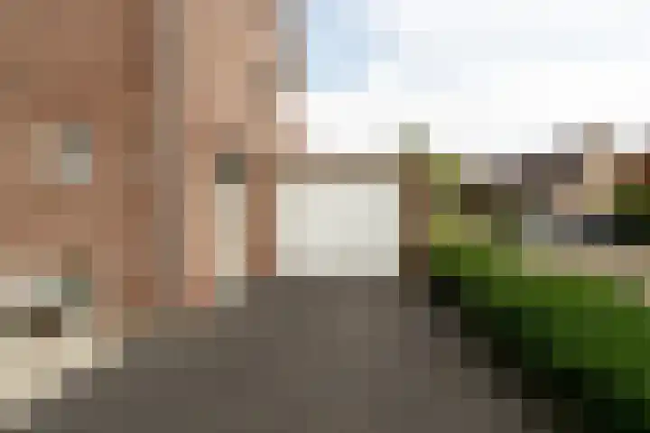 Roek 23 Sprang-Capelle thumbnail 4