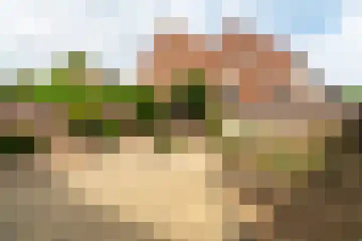Roek 23 Sprang-Capelle thumbnail 6