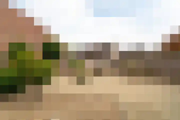 Roek 23 Sprang-Capelle thumbnail 8