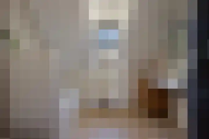 Roekdonk 5 Veghel thumbnail 30