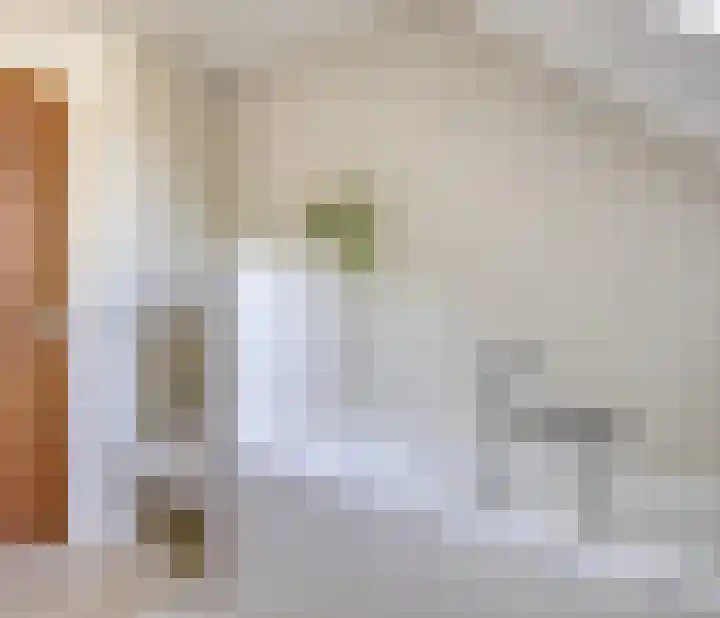 Roekdonk 5 Veghel thumbnail 31