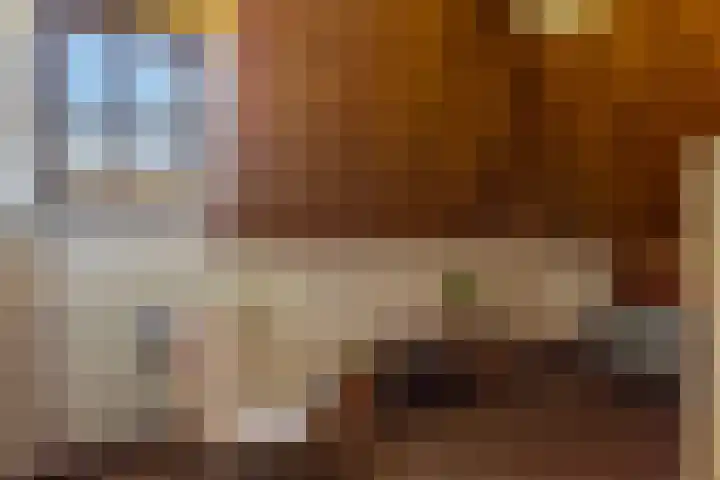 Roekdonk 5 Veghel thumbnail 35