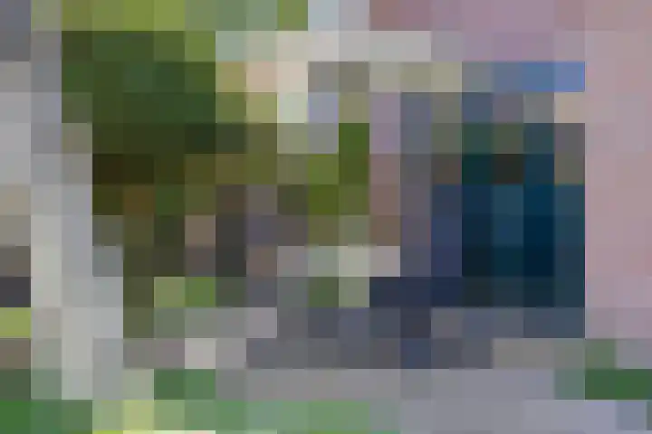 Roekdonk 5 Veghel thumbnail 38
