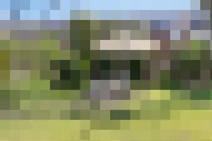Roekdonk 5 Veghel thumbnail 39