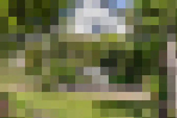 Roekdonk 5 Veghel thumbnail 40