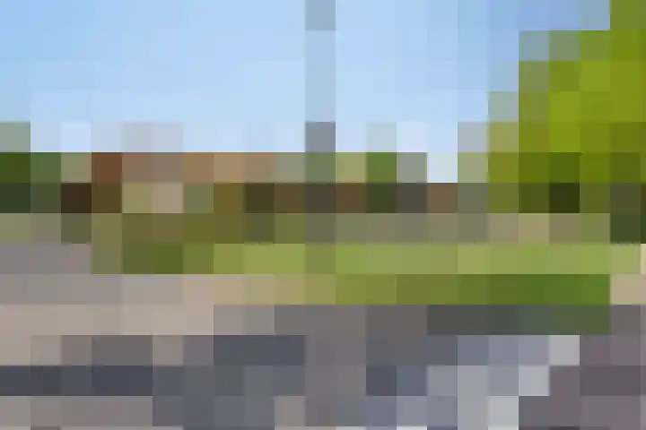 Roekdonk 5 Veghel thumbnail 41