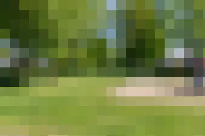 Roekdonk 5 Veghel thumbnail 42