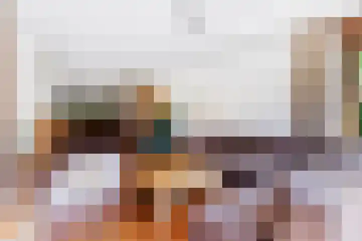 Roekdonk 5 Veghel thumbnail 6