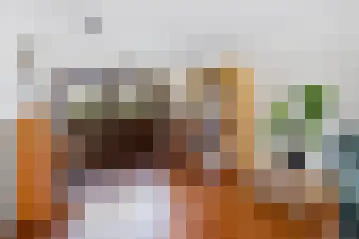 Roekdonk 5 Veghel thumbnail 8
