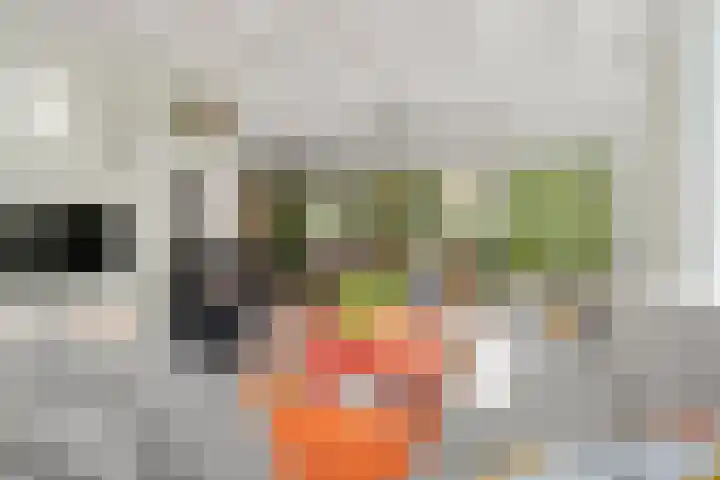 Roekelseweg 15 Wekerom thumbnail 12