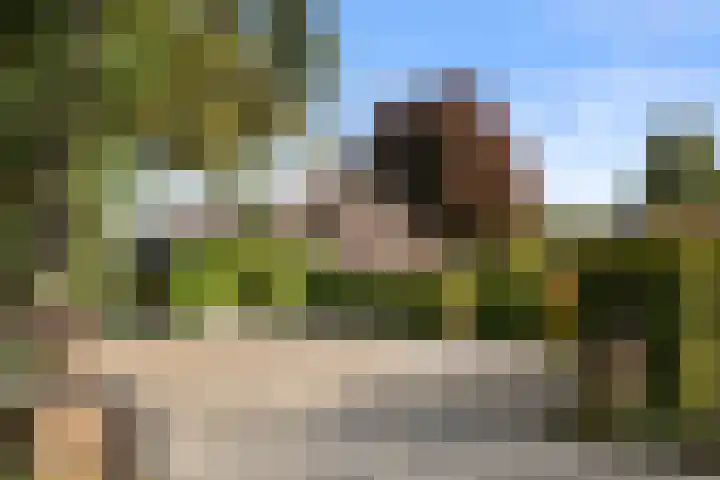 Roekelseweg 15 Wekerom thumbnail 4