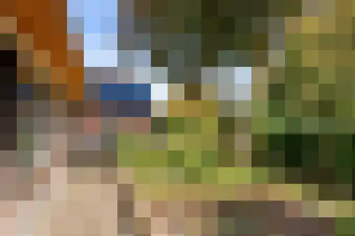 Roekelseweg 15 Wekerom thumbnail 40