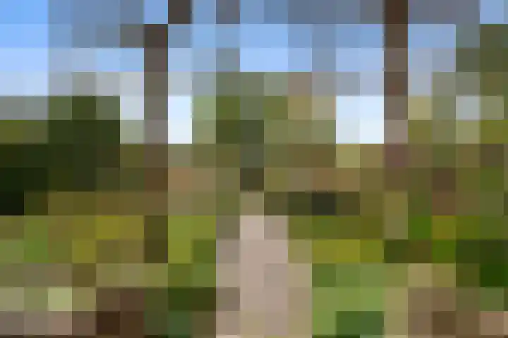 Roekelseweg 15 Wekerom thumbnail 54