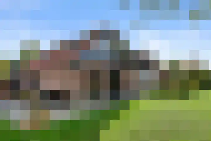 Roekelseweg 15 Wekerom thumbnail 59