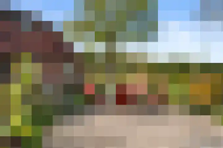 Roekelseweg 15 Wekerom thumbnail 61