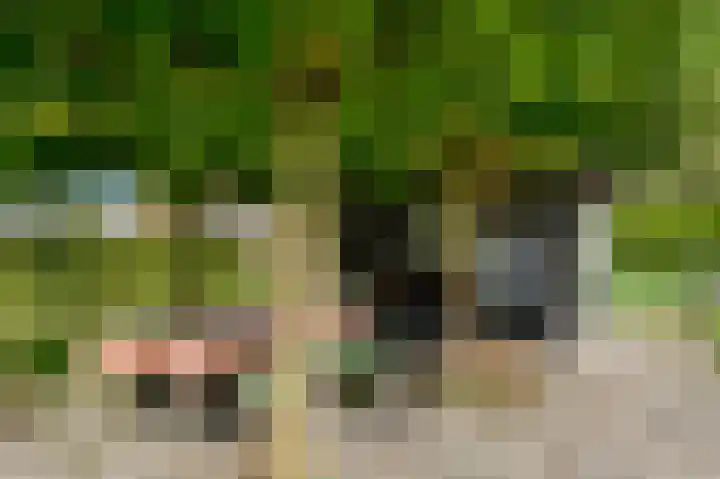 Roekelseweg 15 Wekerom thumbnail 68
