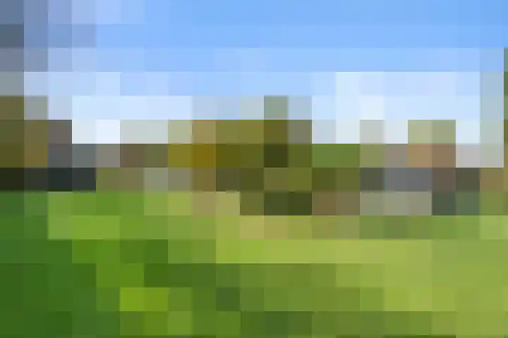 Roekelseweg 15 Wekerom thumbnail 69