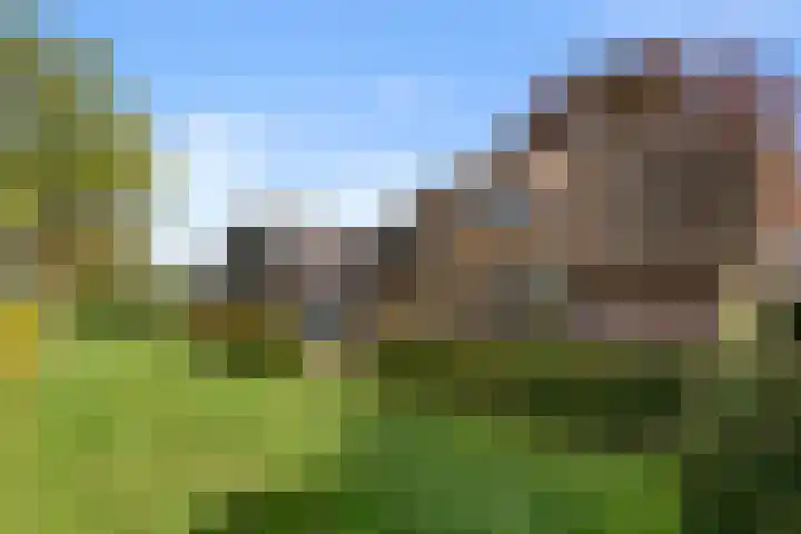 Roekelseweg 15 Wekerom thumbnail 7