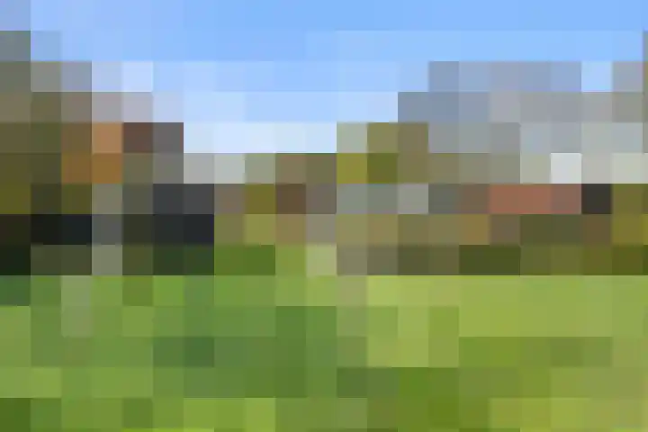 Roekelseweg 15 Wekerom thumbnail 70