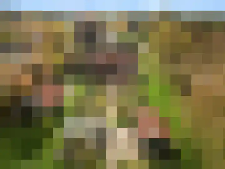 Roekelseweg 15 Wekerom thumbnail 71